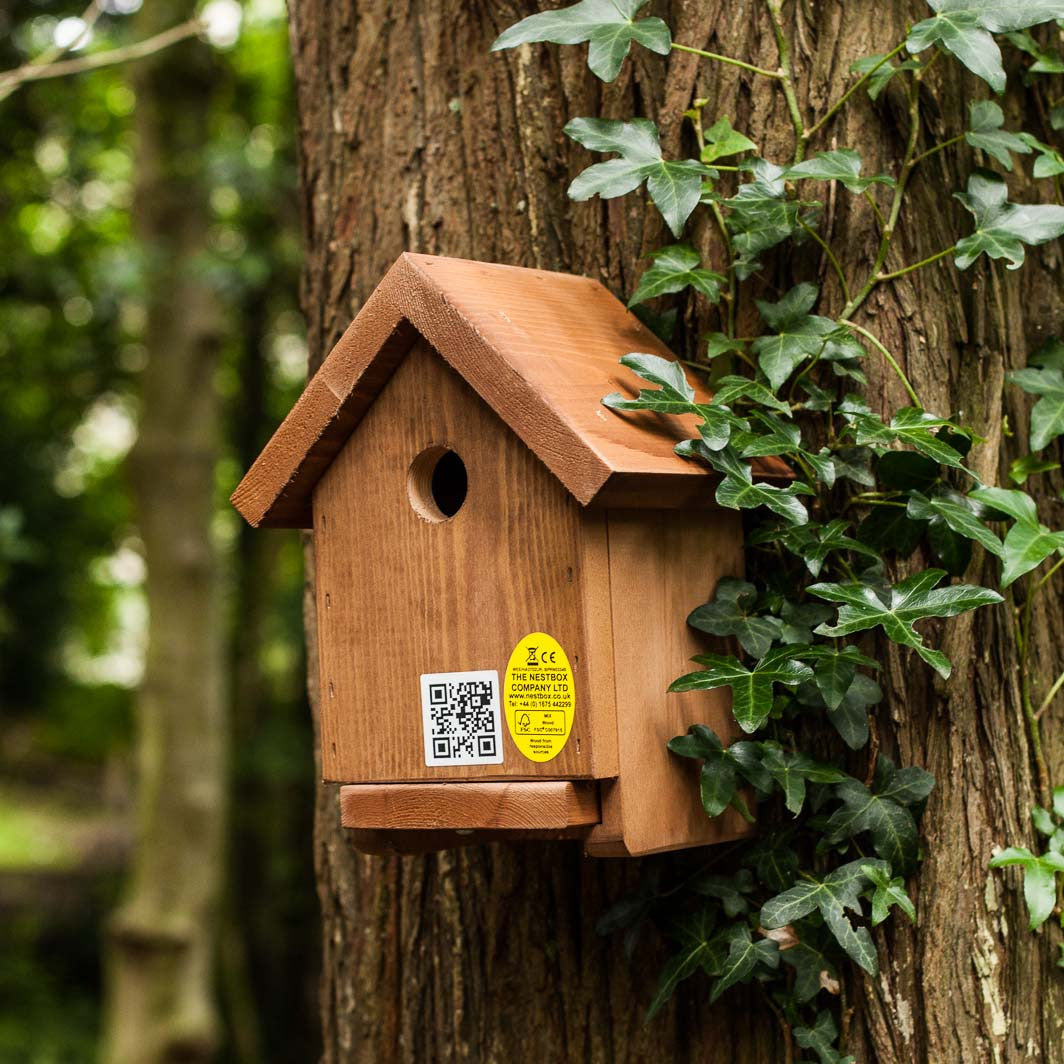 Apex nest box made from fsc softwood