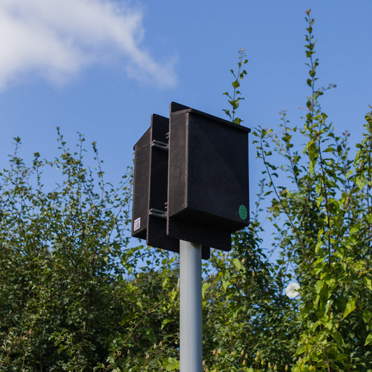 Pole Mounted Bat Box