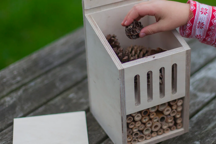 Nest Box Kits