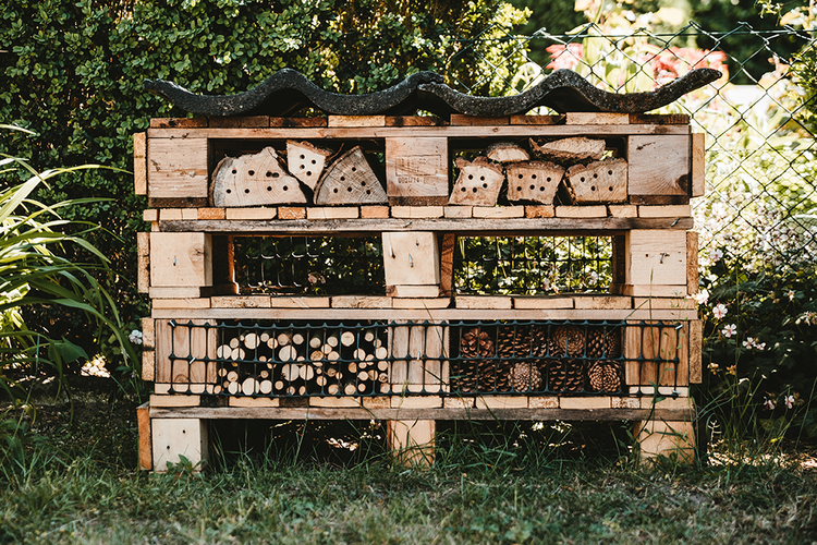 Insect Hotels & Bug Boxes