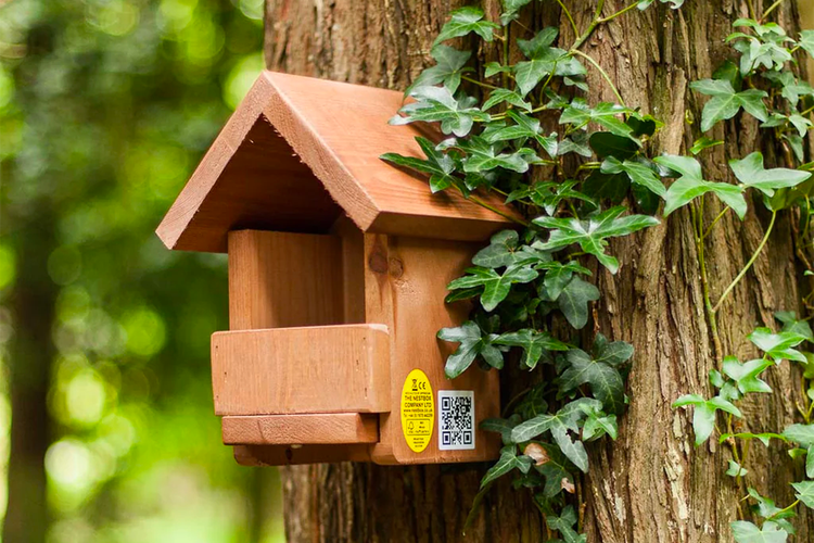 Nesting Boxes