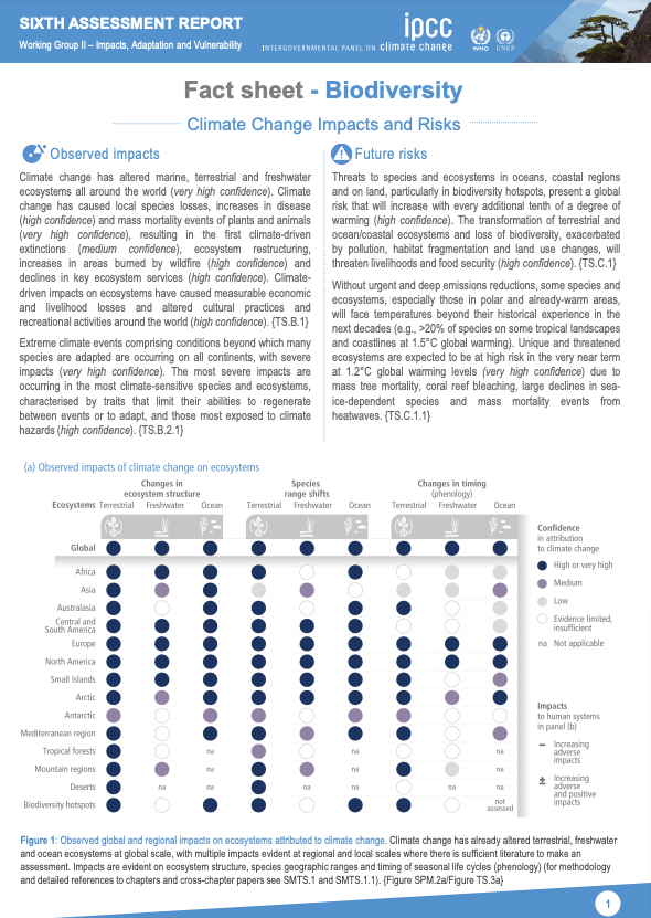 IPCC Climate Change 2022 - Impacts, Adaptation and Vulnerability