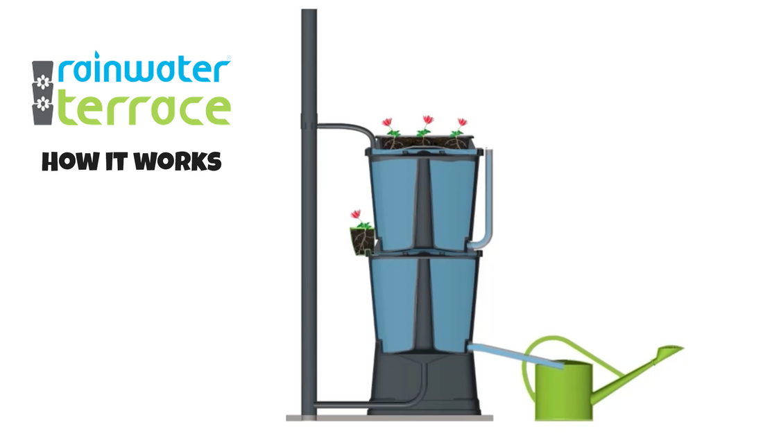 Rainwater Terrace How it Works video