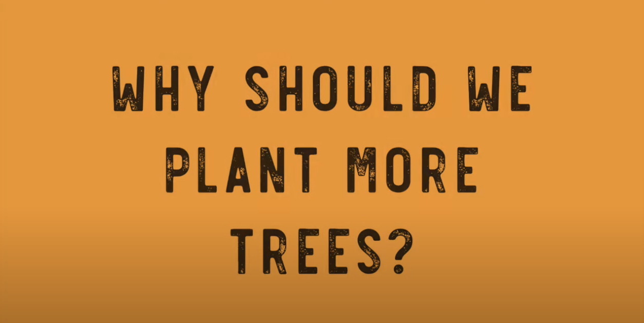 Load video: Reasons why we should plant more trees in the UK