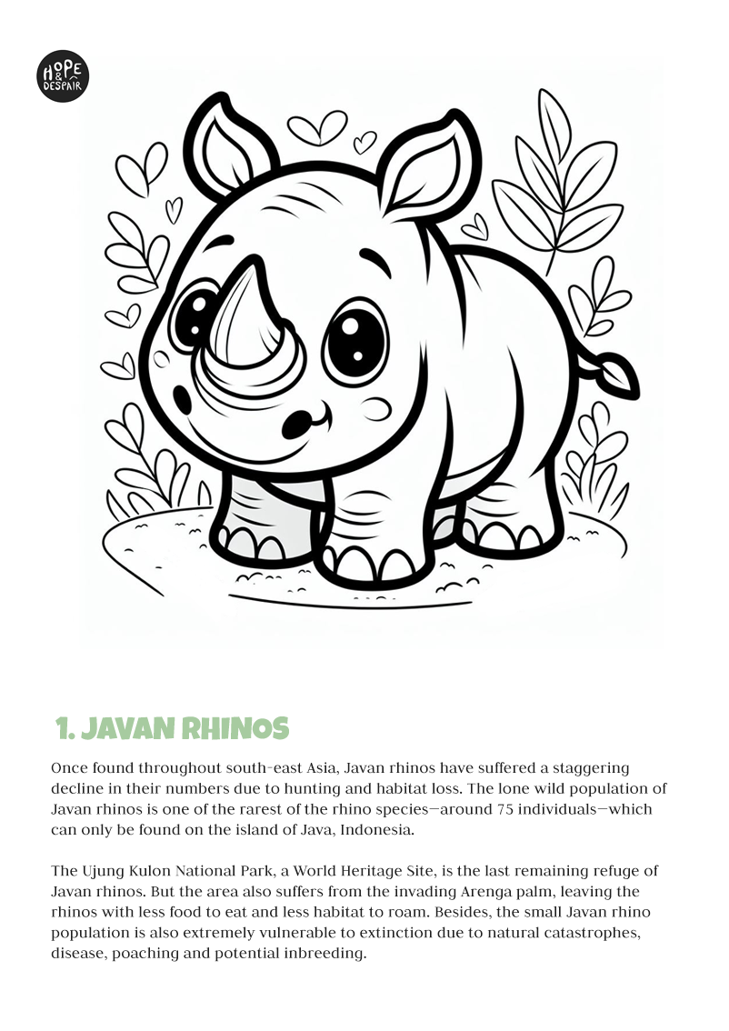 Endangered Animals Colouring Book for Kids