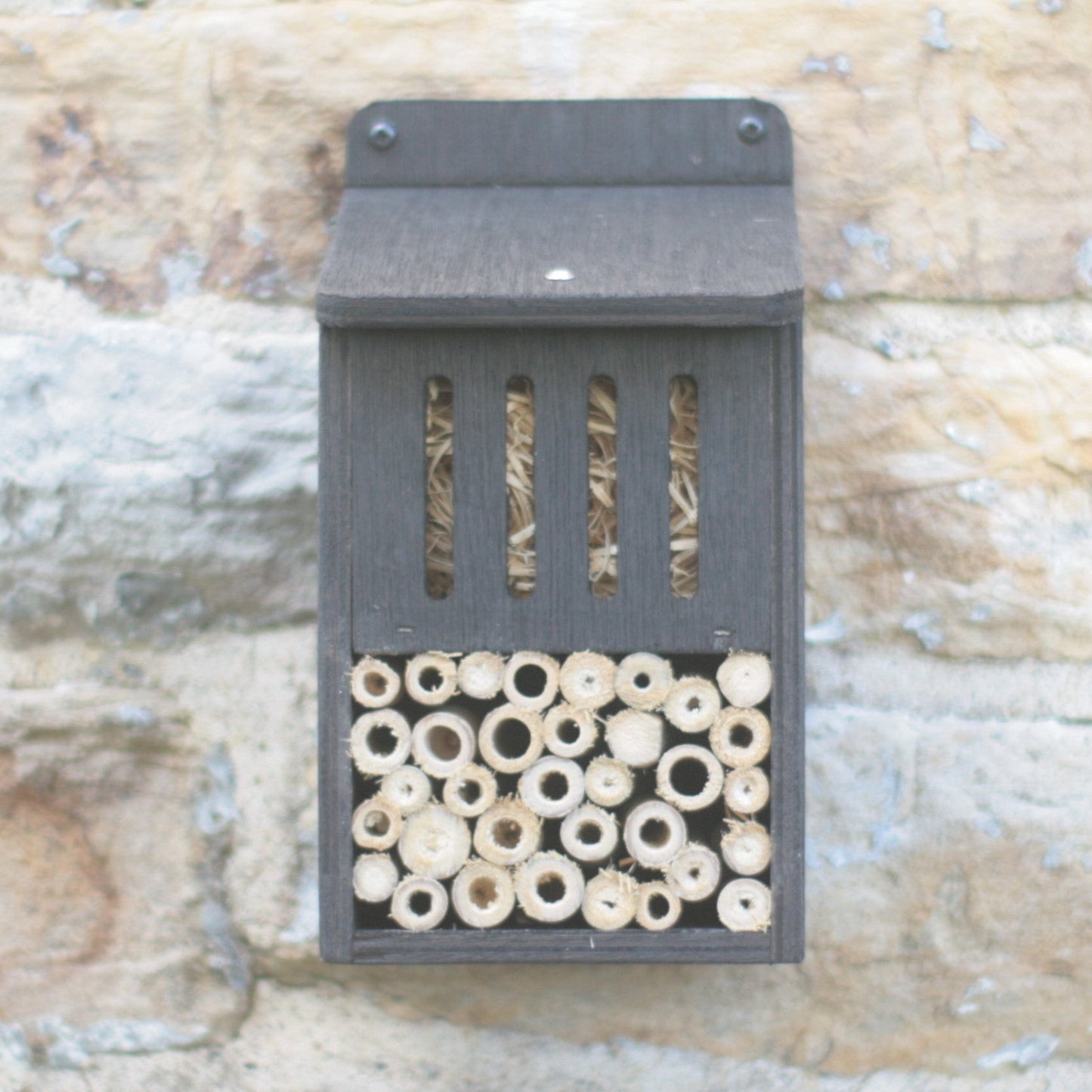 Bug Hotel