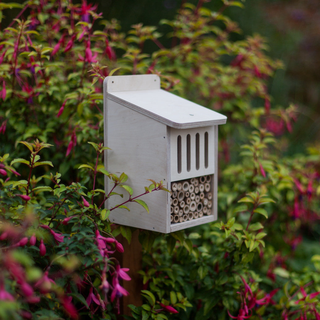 Insect Hotels & Bug Boxes – Hope and Despair