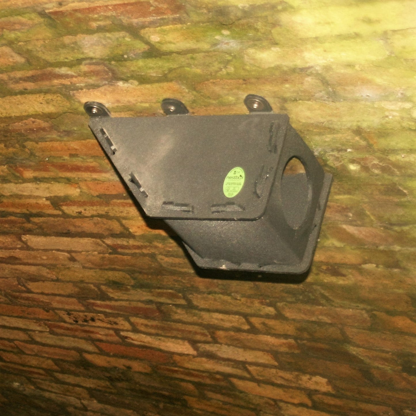 Eco Dipper/Wagtail Nest Box