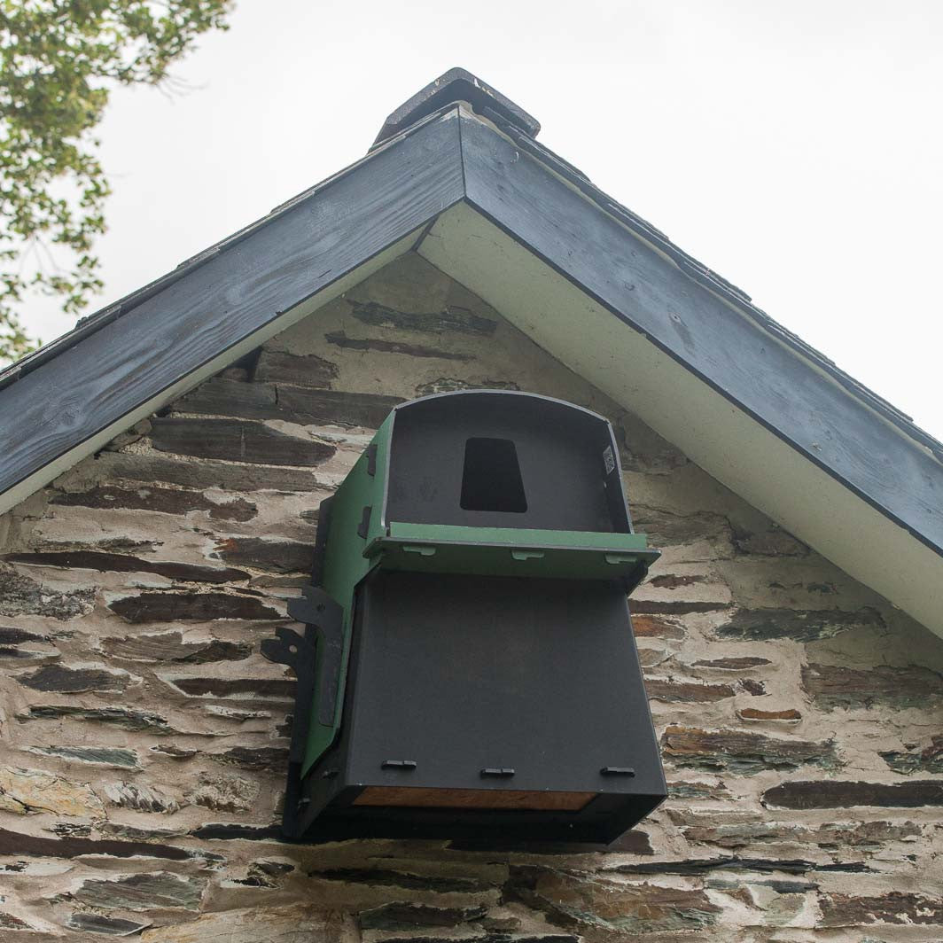 Eco Barn Owl Box on wall