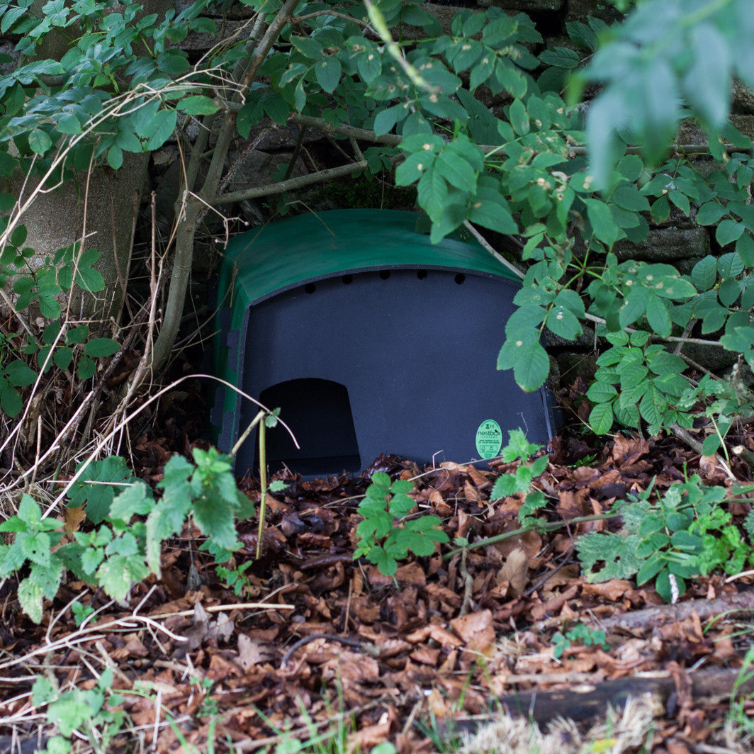 Eco Hedgehog Nest Box