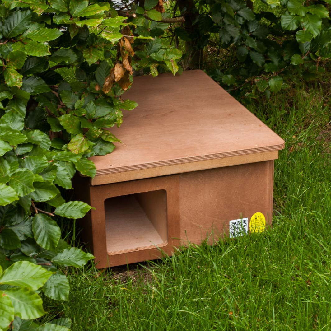 hedgehog house ready for occupation