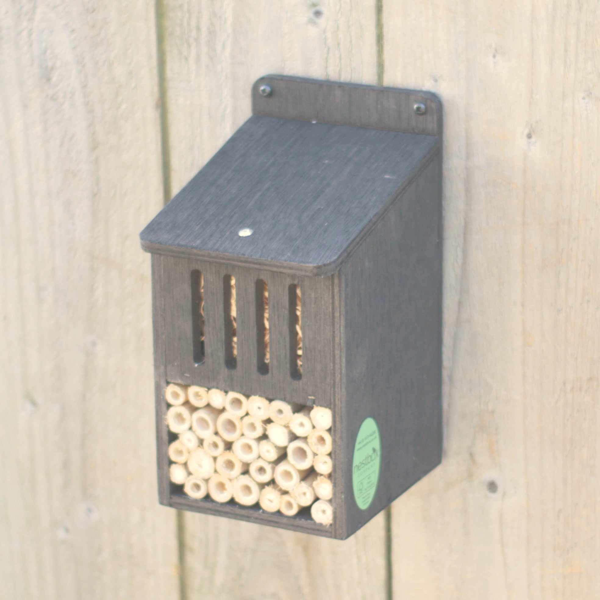 Bug Hotel – Hope and Despair