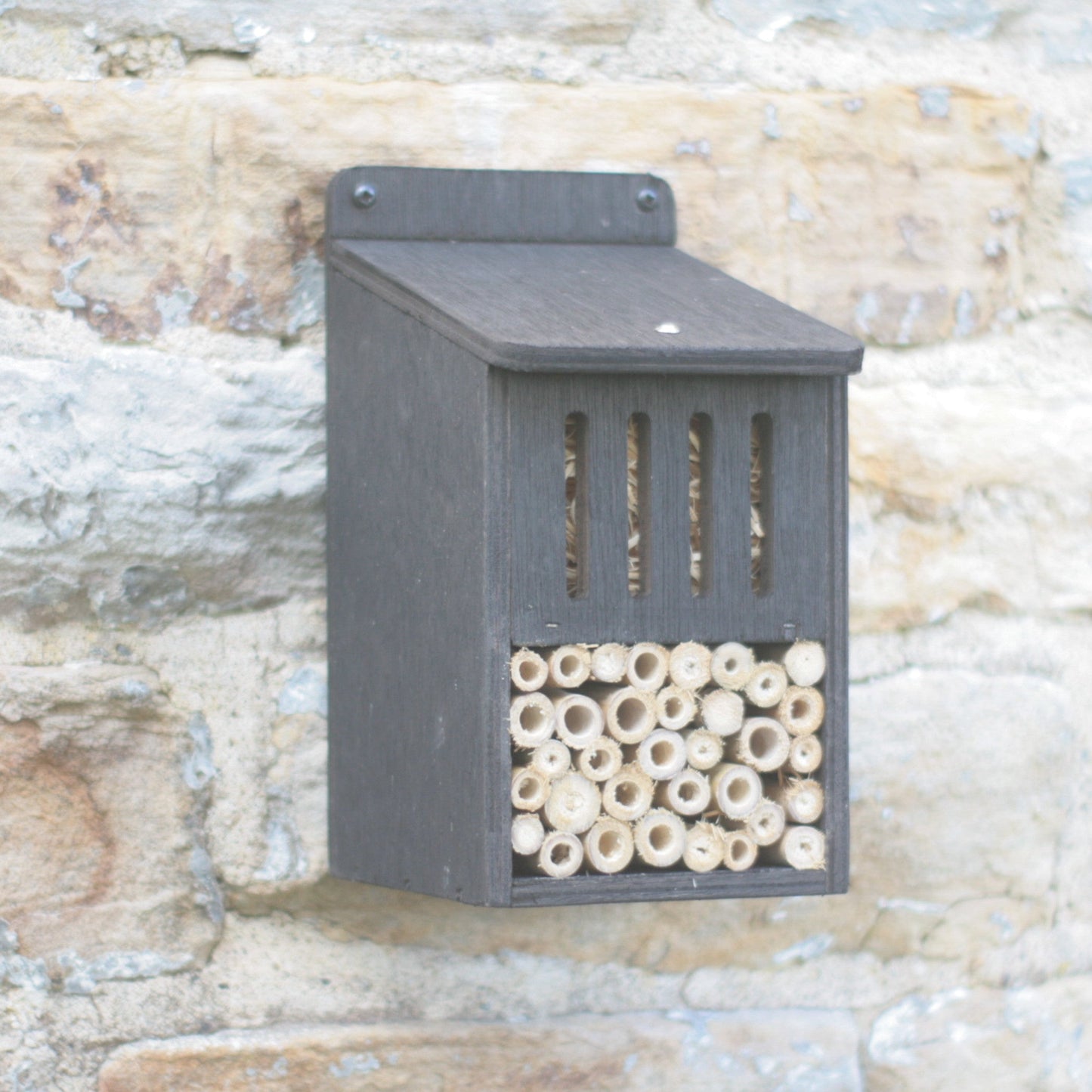 Bug Hotel