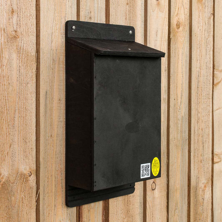Roost Maternity Bat Box – Hope and Despair