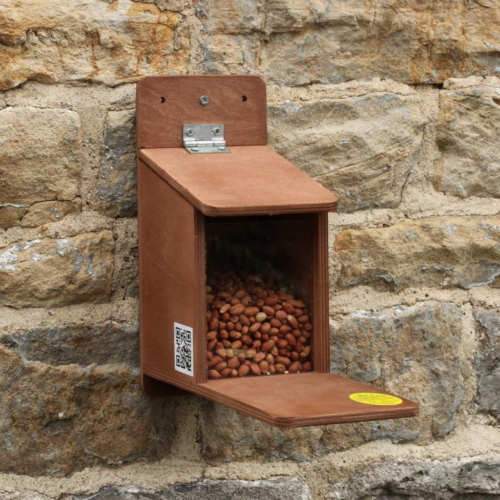 wall mounted squirrel feeder