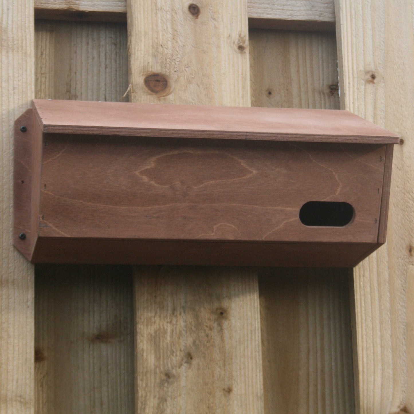 Swift Nest Box