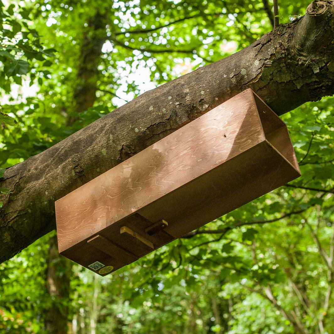 Tawny Owl Box under branch of tree