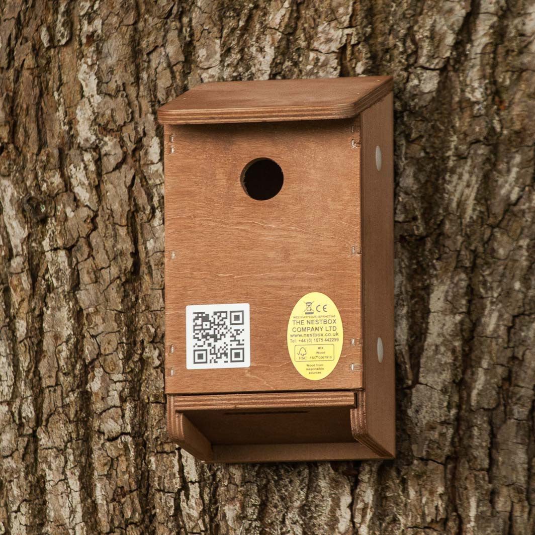 tree sparrow nesting box showing slide-out floor