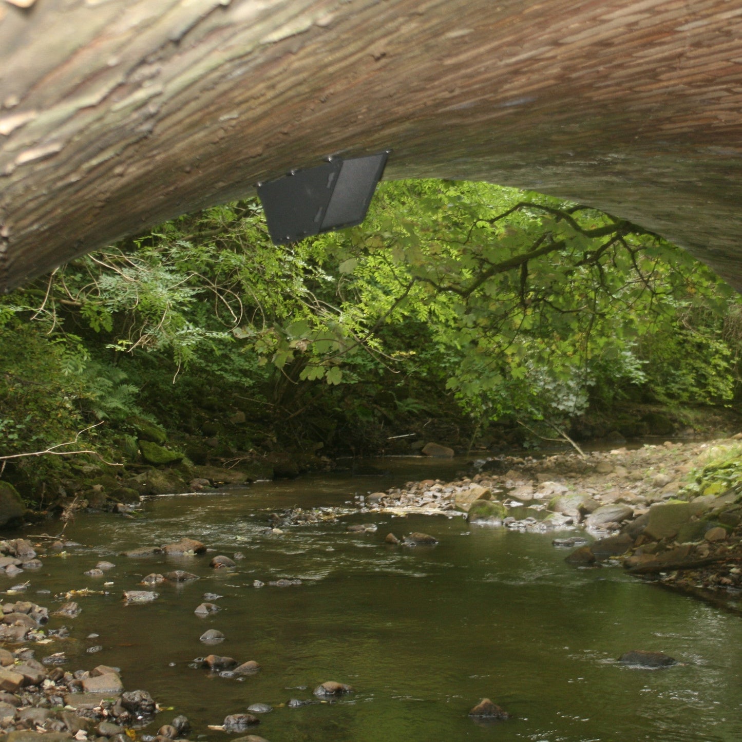 Eco Dipper/Wagtail Nest Box