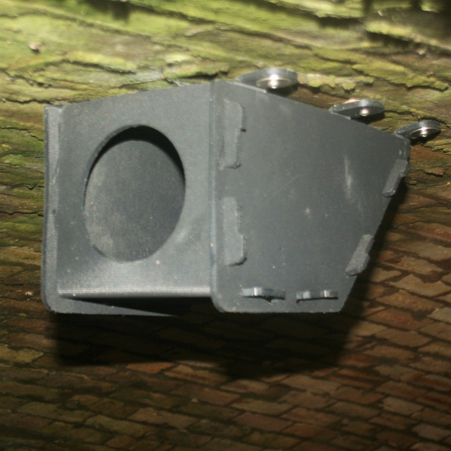 Eco Dipper/Wagtail Nest Box
