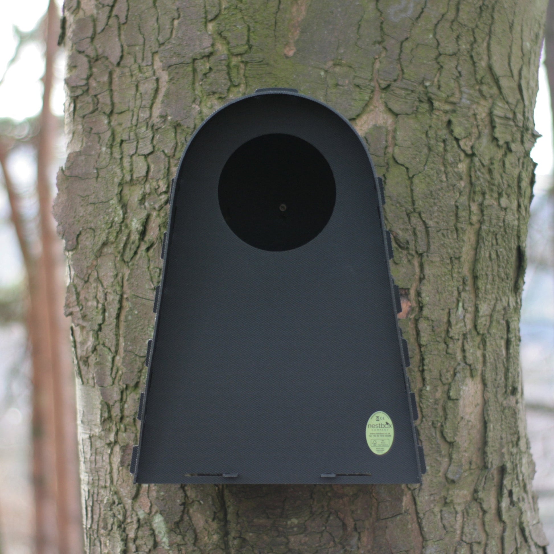 Nestbox Tawny Owl