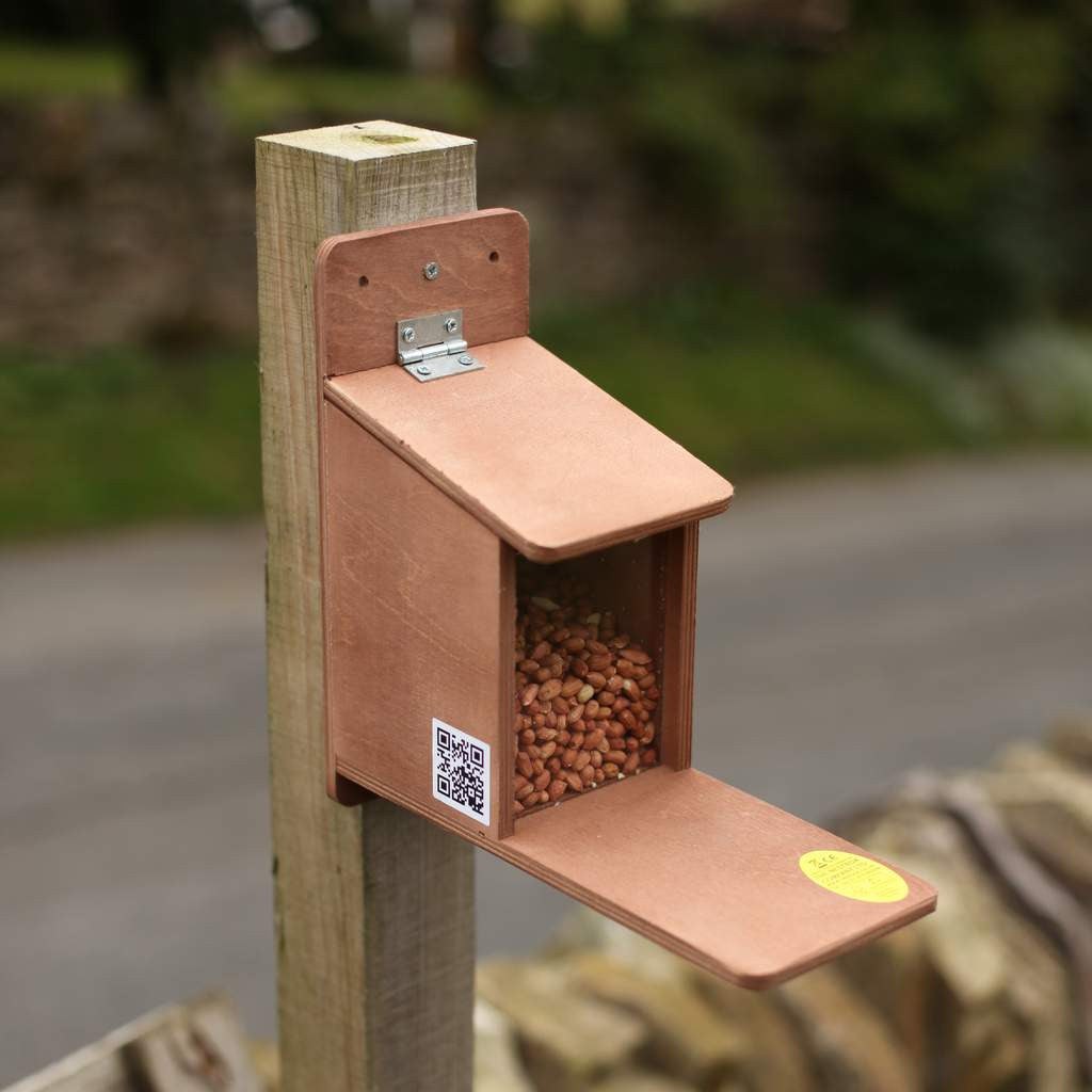 squirrel feeder awaiting visitors